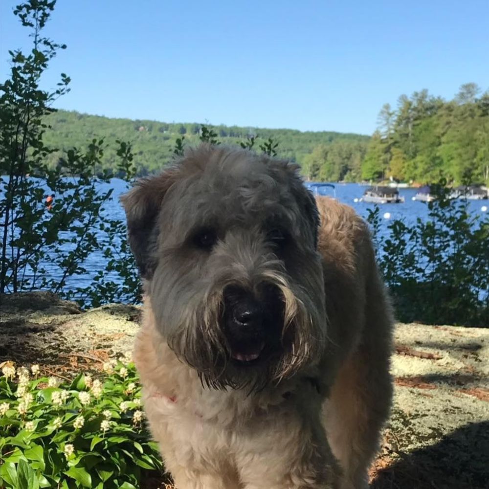 Meet your Posher, Lynn